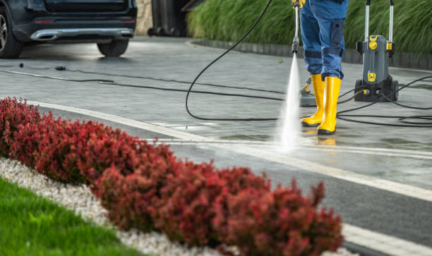 Best Roof Washing  in Walhalla, SC